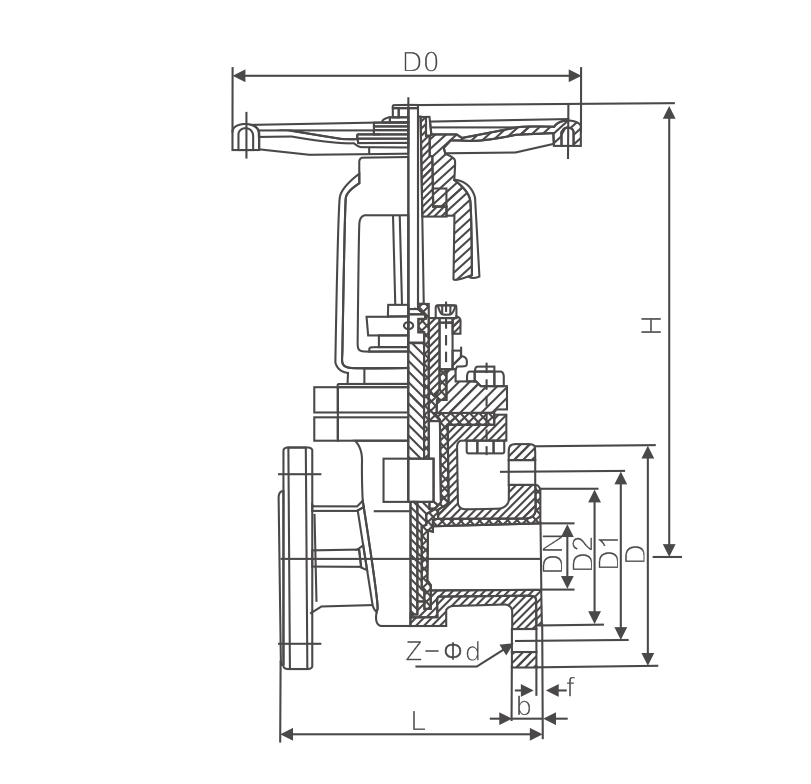 Z41F46A.png