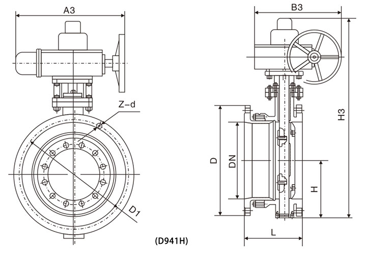 D643H-D.jpg